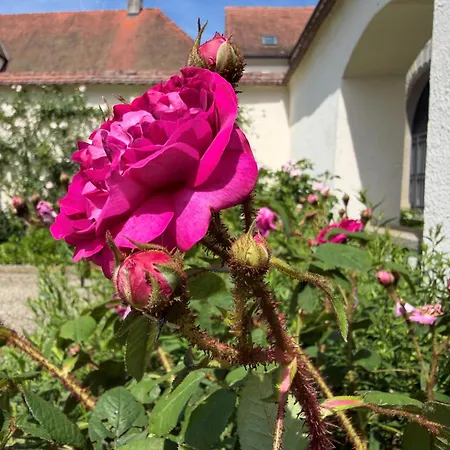 Bodensee-schloss Maurach Uhldingen-Mühlhofen